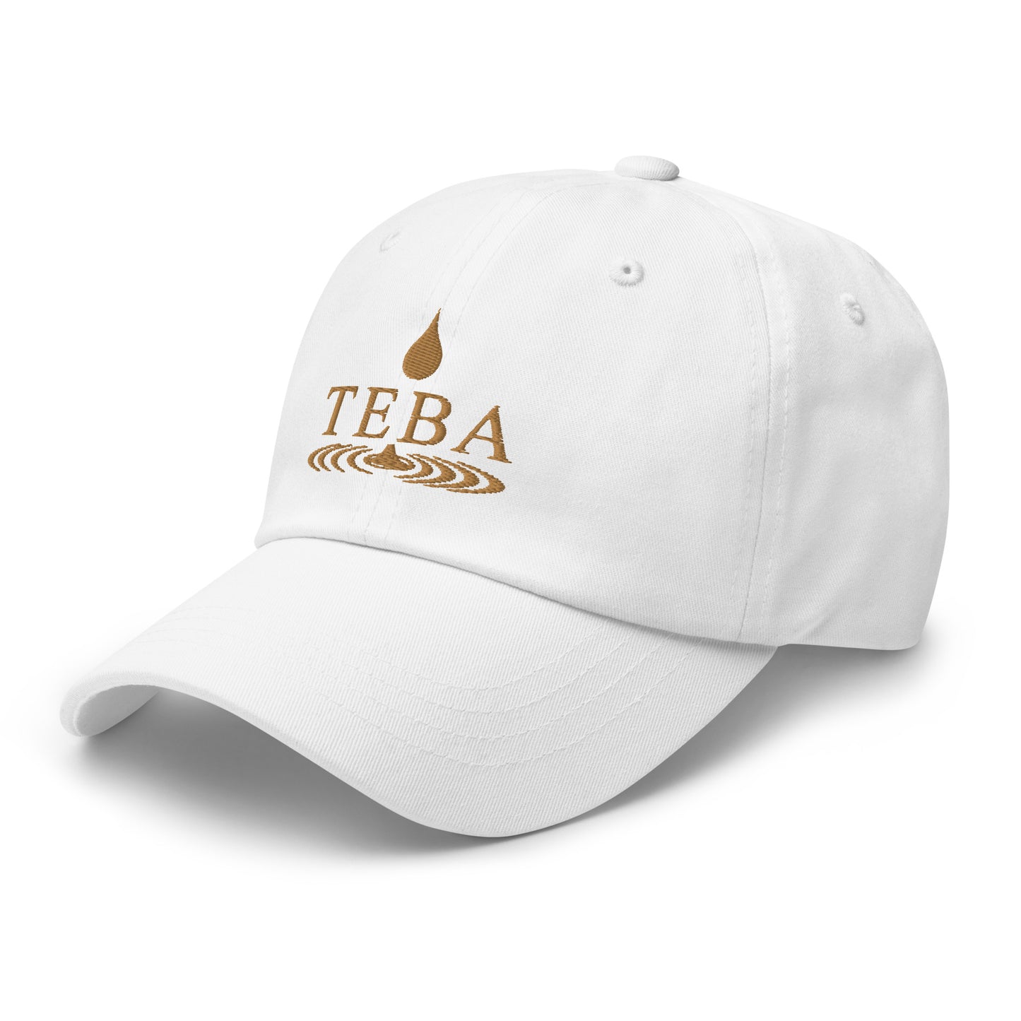 TEBA Essential Drip baseball hat