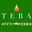 Teba logo