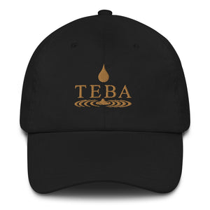 Open image in slideshow, TEBA Essential Drip baseball hat
