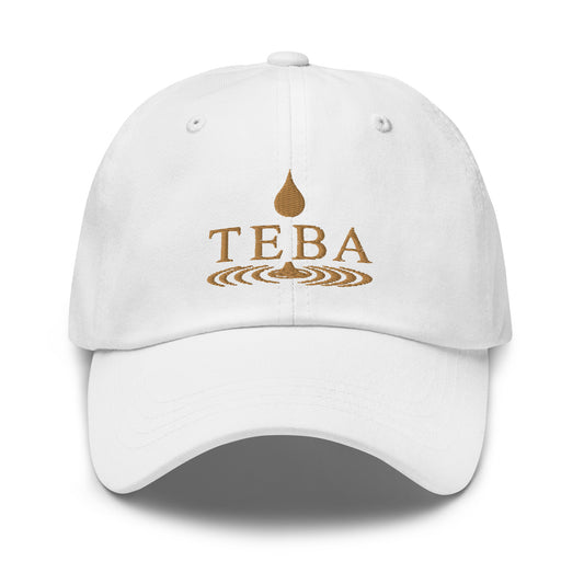 TEBA Essential Drip baseball hat